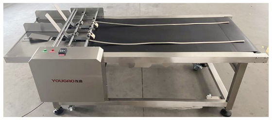 Inkjet Coding Automatic Paging Machine With Extended Plate Match with Inkjet Printer Mesin Pencetak Mesin Pencetak