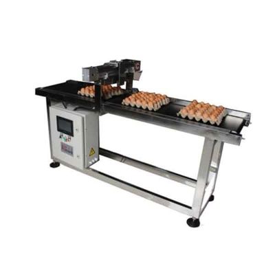 E5 Tanggal Pengkodean Eggs Belt Conveyor Step Motor Driven Variable Frequency