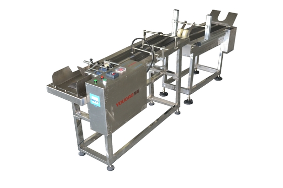 180w Variable Frequency Card Coding Feeder Mesin
